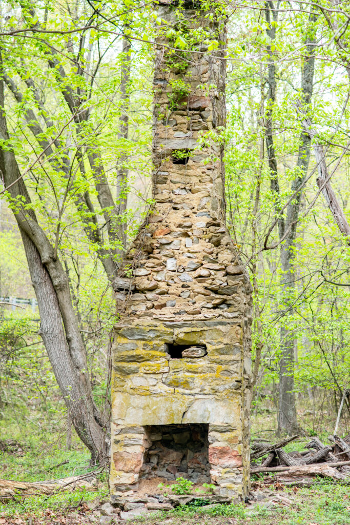 Northern Virginia Engagement Session | Melissa Cook Photography