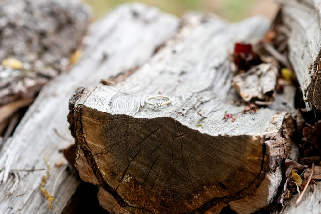 Northern Virginia Engagement Session | Melissa Cook Photography