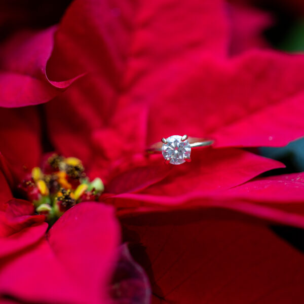 How Long Until We Get Our Photos? Understanding the Professional Editing & Delivery Process