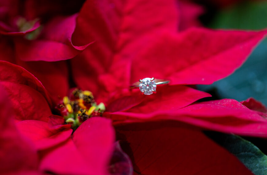 How Long Until We Get Our Photos? Understanding the Professional Editing & Delivery Process